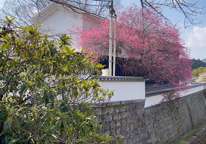 店舗名2